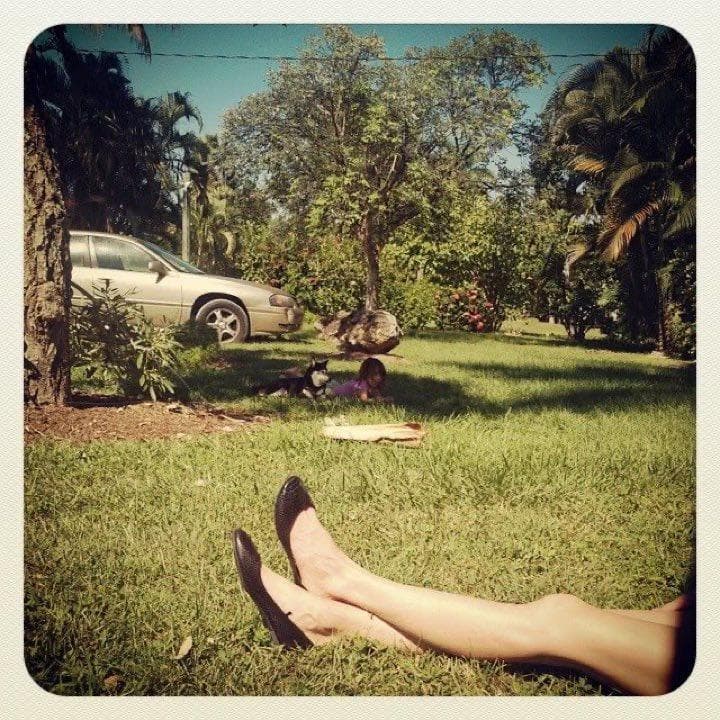 Feet and dog