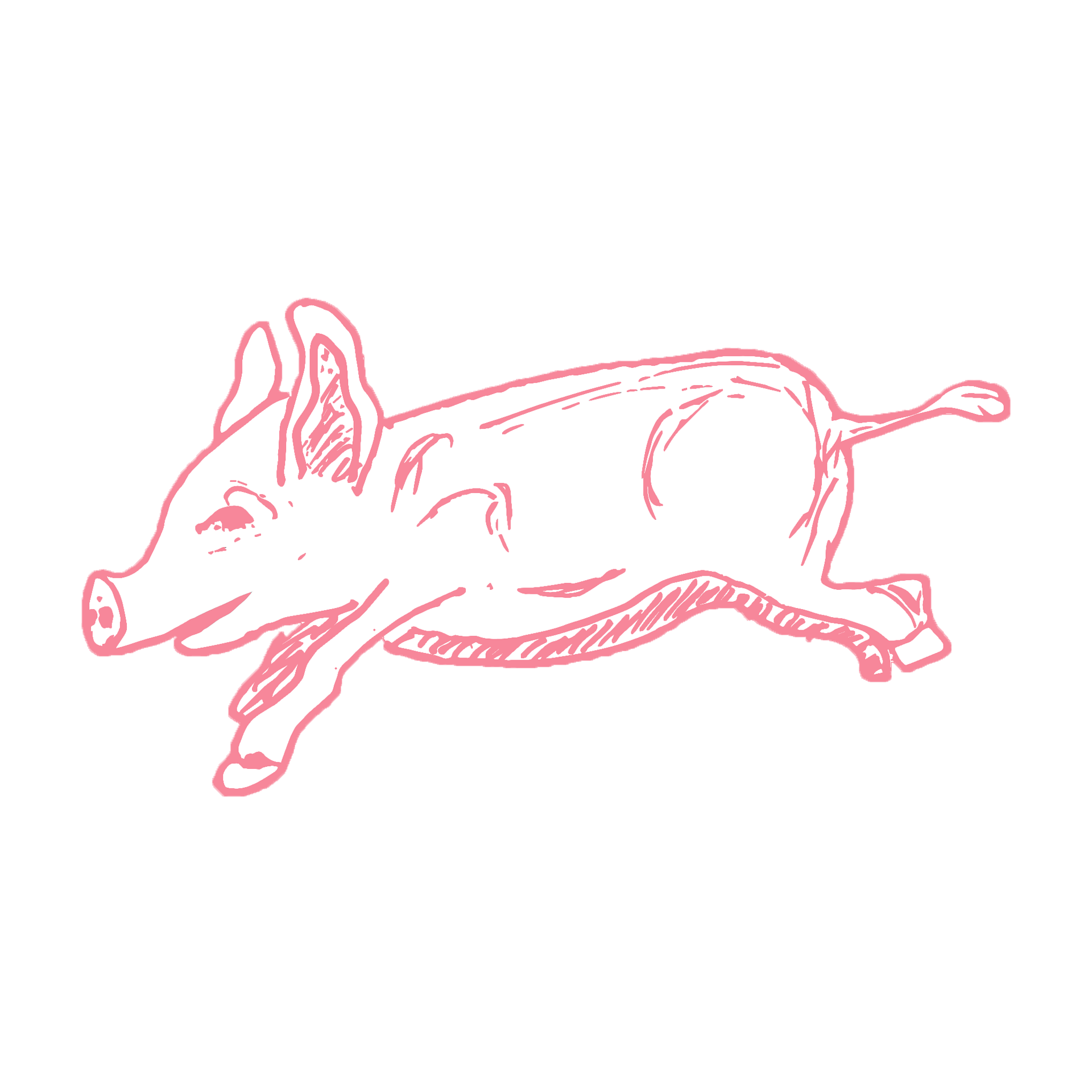 Bon Bon Cleaning Co. flying pig mascot